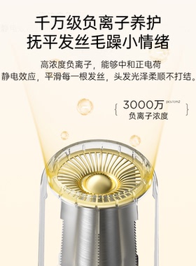 飞美丝家用负离子护发吹风机速干
