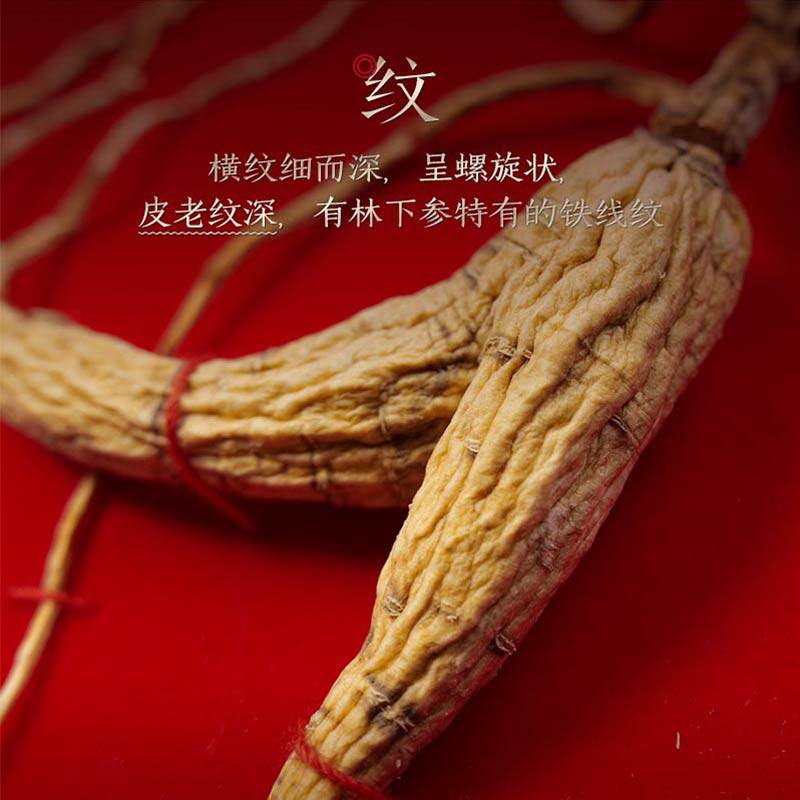  长白山人参山参