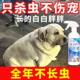 Pet/pet food and supplies Cat/dog grooming and cleaning supplies Pet wipes