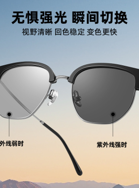 CAPONI偏光墨镜男款2025新款开车