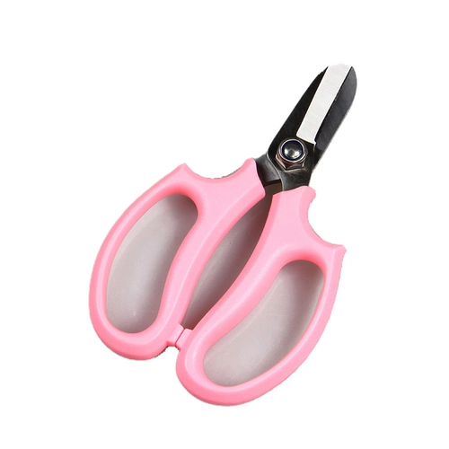 Если у вас есть цветы, вы хороши для цветов, ножниц, цветочных искусств и ветвей и нарезанных цветов