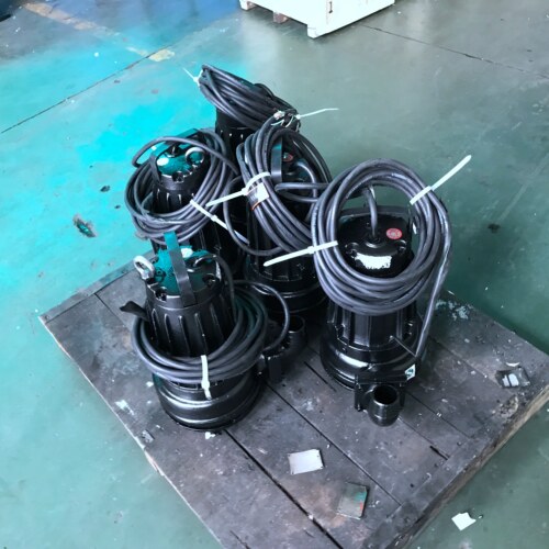 污水泵品质保证南京蓝深潜水排污泵WQ40-12-3KW口径50 - 图1