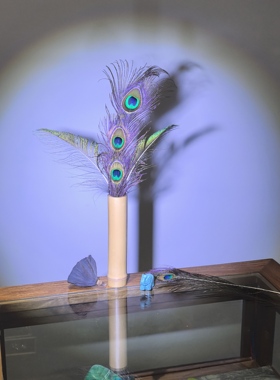 真孔雀羽毛竹子插花DIY手工非遗摆件风水供奉佛前茶室装饰风水翎
