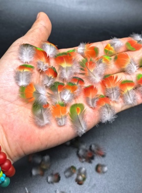 点翠材料稀有鹦鹉羽DIY制作课程非遗手工艺体验团建研学自然绿色