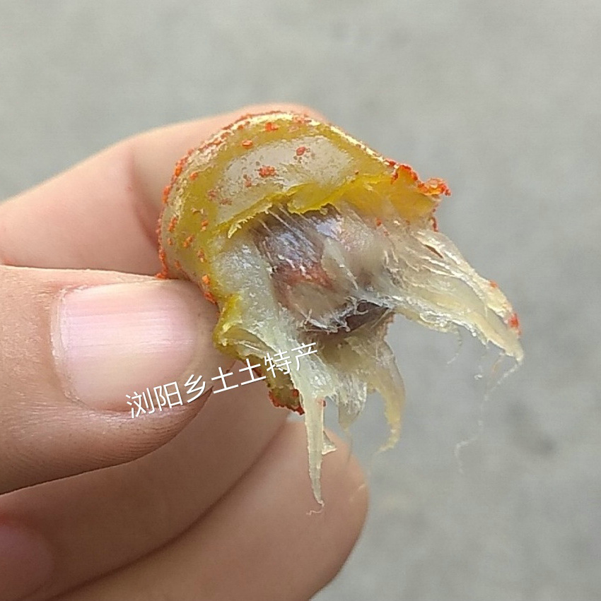 2斤辣味青酸枣粒辣味原果带皮酸枣菩提果包邮酸甜陈皮味酸枣-图2