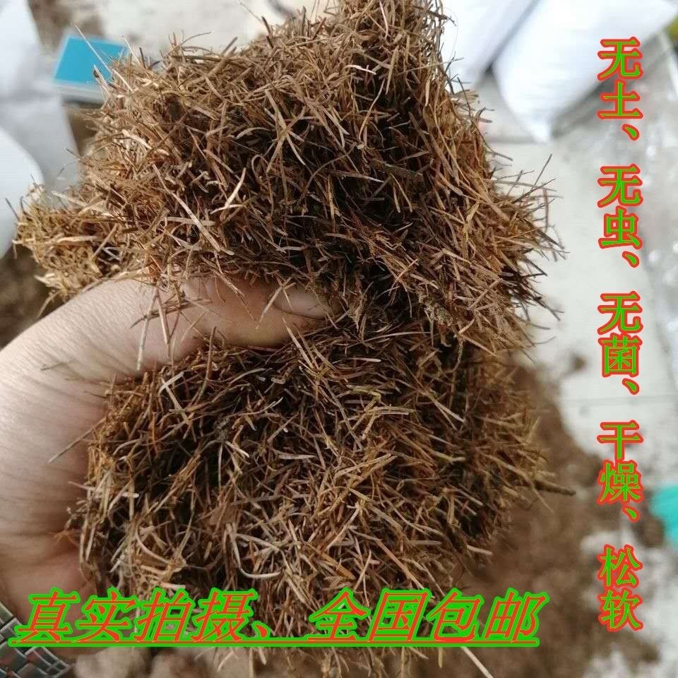 纯天然纯松针无土腐熟发酵兰花君子兰杜鹃蓝莓茶花专用酸性营养土