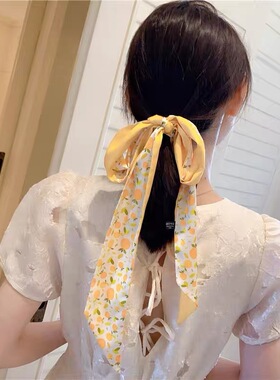 韩版网红水果丝带绑头发丝巾碎花蝴蝶结扎马尾可爱绑发编发款发带