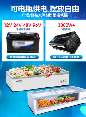 百利（BAILI）移动摆摊冰箱展示柜冰柜商用冷冻柜三轮车摆地摊烧