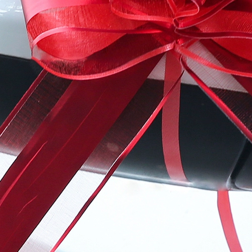 Моя свадьба свадьба, команда свадебной машины украшает свадьбу, свадьбу, лоскутное одеяло Большой красный лук сжигает цветы