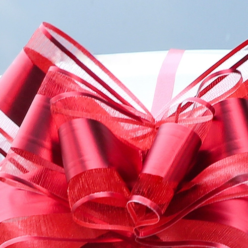 Моя свадьба свадьба, команда свадебной машины украшает свадьбу, свадьбу, лоскутное одеяло Большой красный лук сжигает цветы