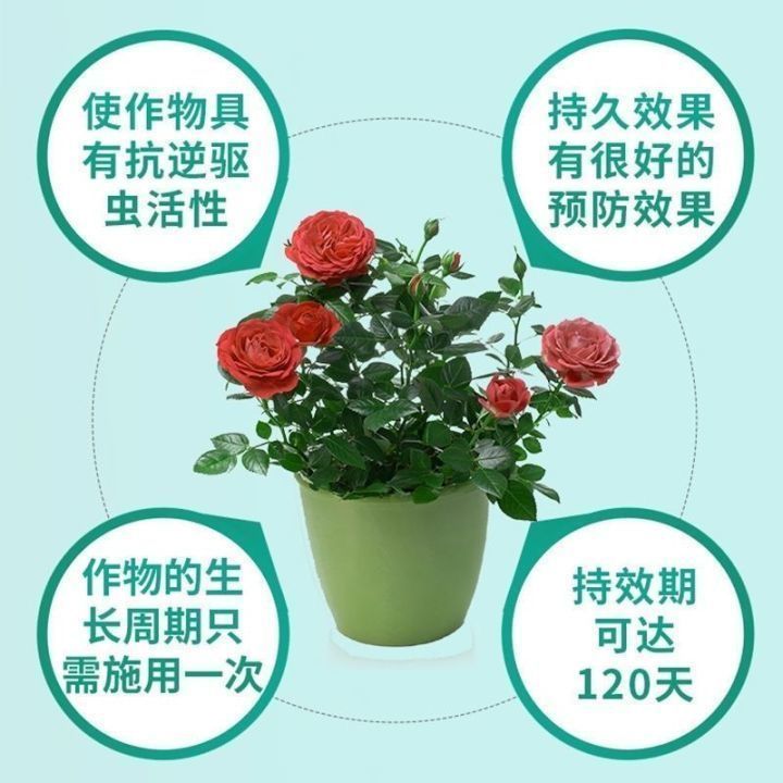 【永无虫】园艺菜地防虫驱虫药蔬菜果树家庭花卉防虫片特效杀虫剂 - 图1