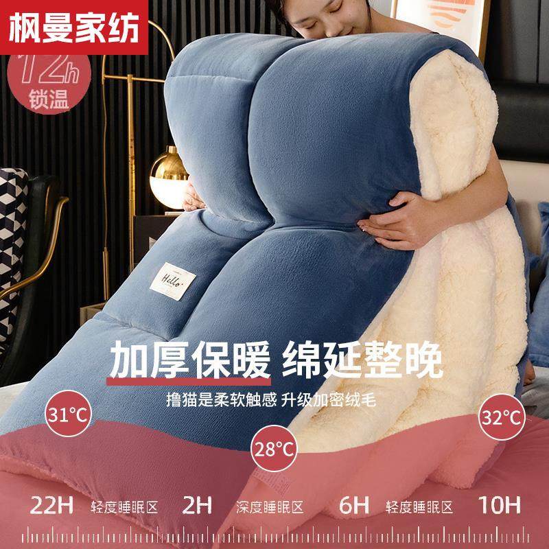 羊羔绒被子2025新款冬季棉被被芯冬天单人宿舍秋冬被加厚保暖10斤,淘宝优惠券,粉丝福利购,淘宝优惠卷