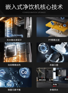 daogrs意大利v3嵌入式直饮机净水器一体机家用即热饮水机无水箱家