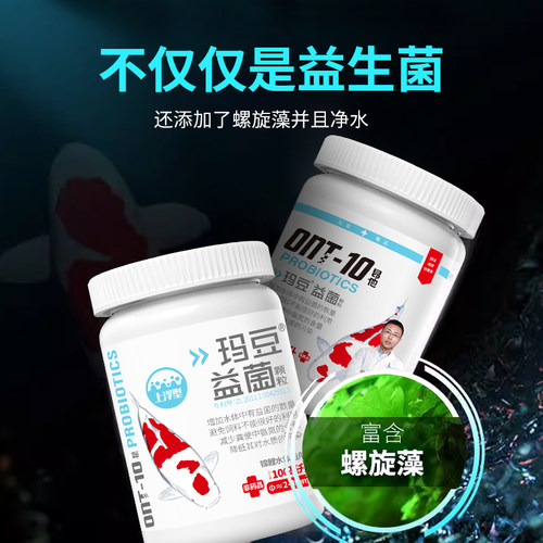 玛豆配合金鱼饲料用益生菌颗粒兰寿锦鲤等观赏鱼肠道健康消化 - 图2