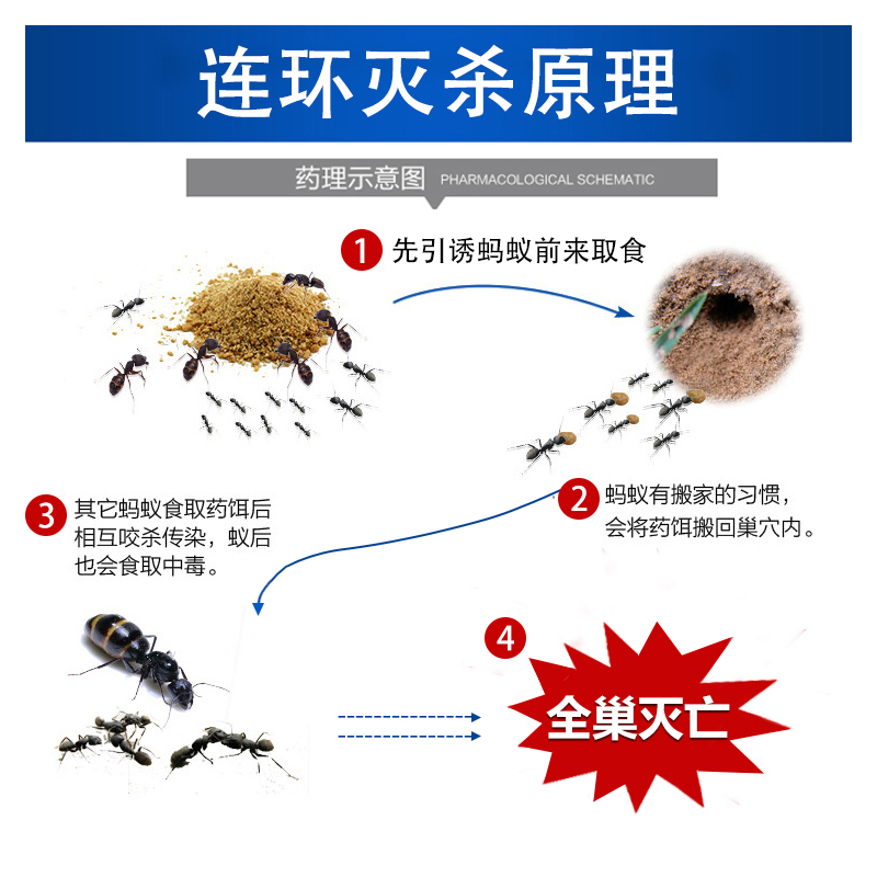 达豪牌强力灭蚁清检测达A级标准灭蚂蚁药灭蚁药拍10包免邮-图2