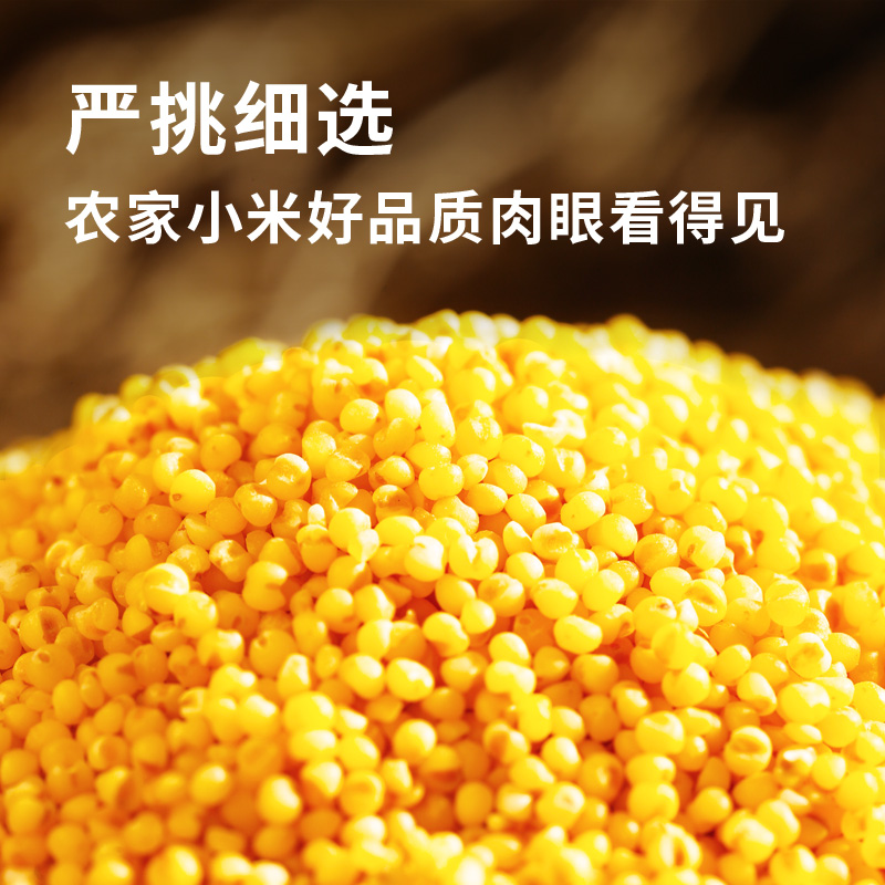 黄小米新米杂粮小米粥沁州2023年新山西非特级米脂养胃糯有机小米 - 图0