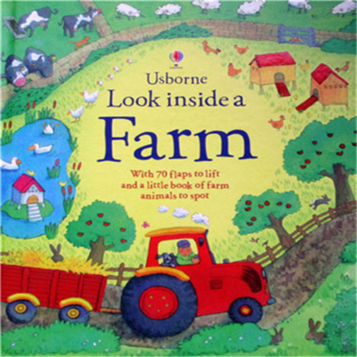 Usborne尤斯伯恩看里面揭秘系列  look /See Inside 手工翻翻机关 - 图3