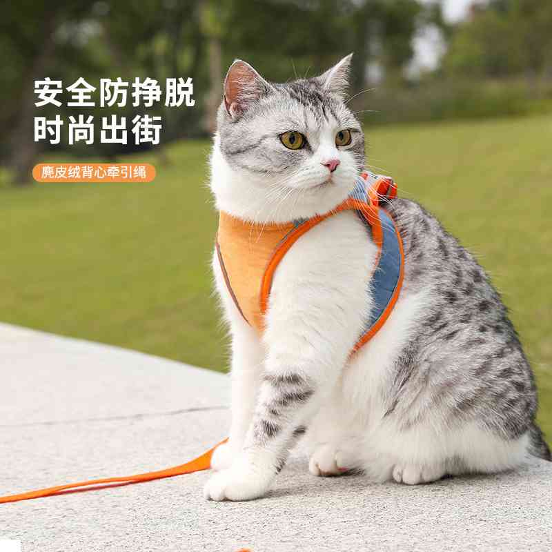 猫咪背心式牵引绳胸背带防挣脱可爱外出狗狗牵引绳遛猫遛狗专用绳 - 图0