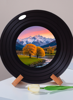 金山日照绝美玻璃黑胶唱片摆件杂志架电视柜酒柜格子装饰摆件礼物