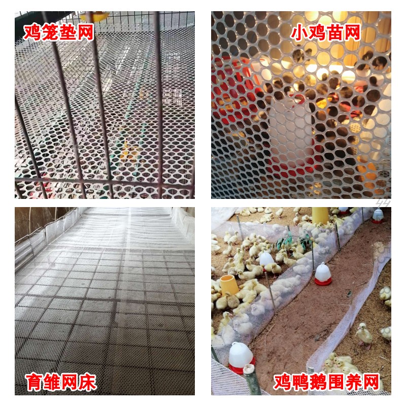 塑料网格养殖鸡笼垫脚漏粪垫网小鸡育雏养鸡专用网围栏阳台防护网-图1