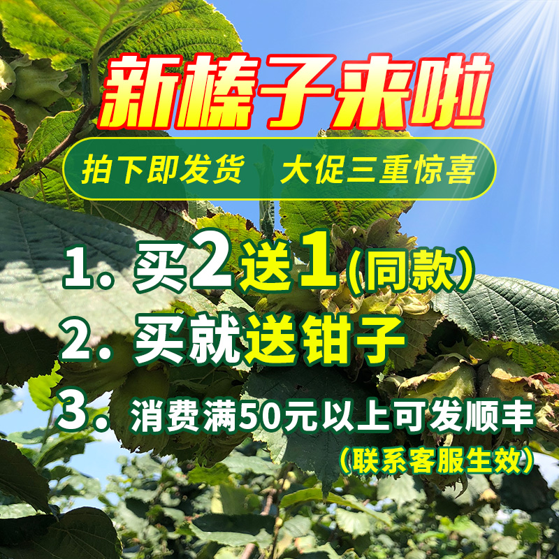 鼠小于2020年新货新鲜榛子带绿皮青皮水仁水瓤东北铁岭脱皮生榛子