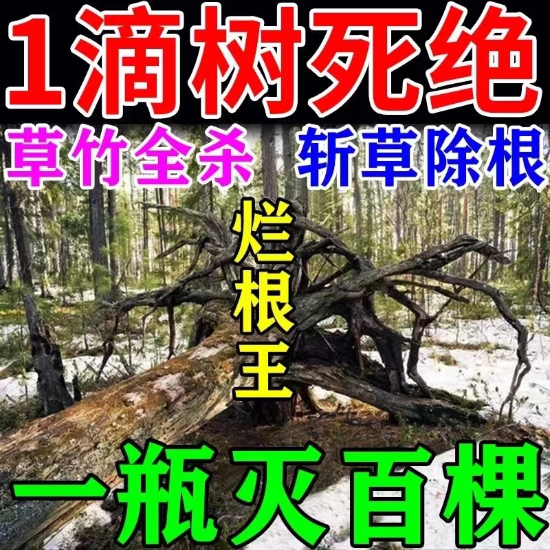 大树烂根药大树一滴死烂树根剂除树强力除草灭竹子枯树专用药神器 - 图3