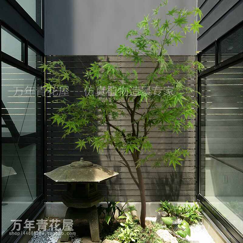 新中式绿枫树 新人首单立减十元 22年7月 淘宝海外