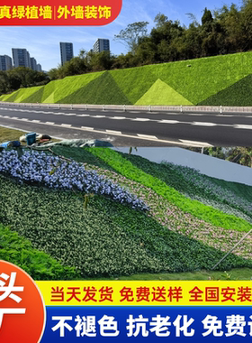户外阳台门头仿真绿植墙假草坪