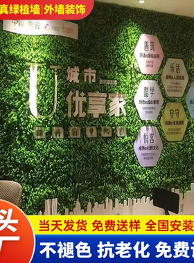 仿真植物墙人造草坪假花墙面装饰