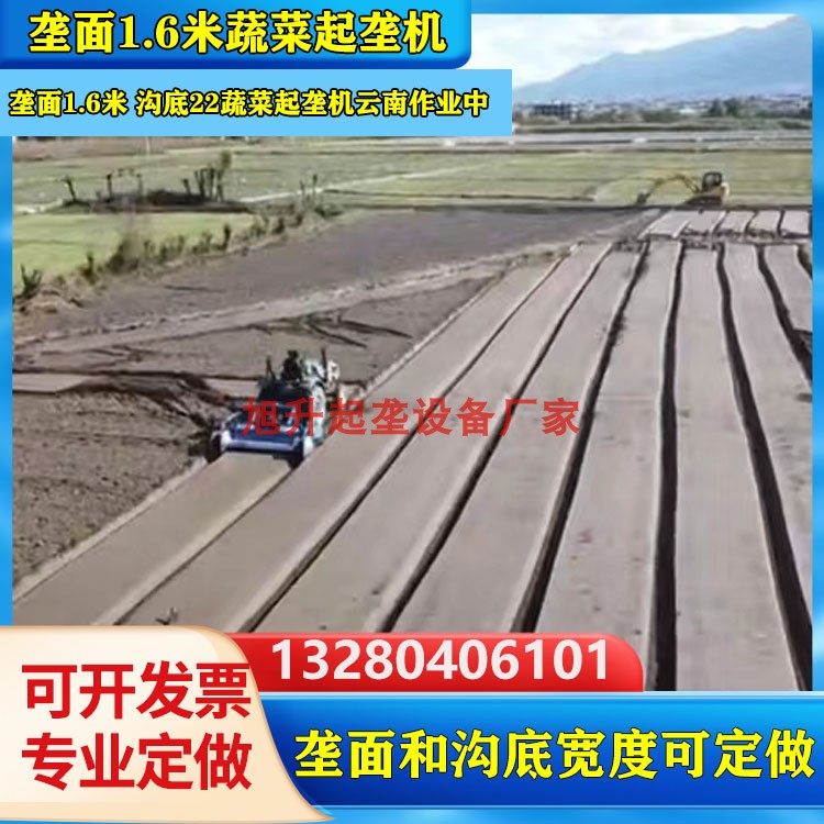 药材起垄机白术丹参草莓百合蔬菜起垄机苗床机旋耕起垄开沟一体机,淘宝优惠券,粉丝福利购,淘宝优惠卷