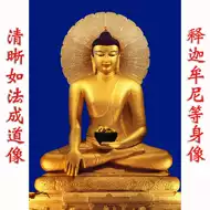 释迦牟尼正觉 新人首单立减十元 21年7月 淘宝海外