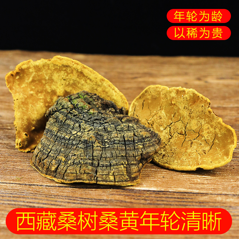 西藏自治区正品桑树桑黄正宗林芝桑树桑黄切片500g克煲汤煮水泡茶 - 图1