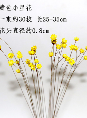 干花小星花巴西进口滴胶材料点缀