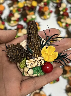 手工天然野生蘑菇木头果实冰箱贴