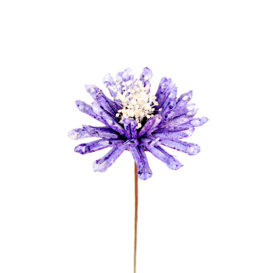 Ins internet celebrity natural dried flower cotton living room decoration