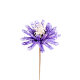 Ins internet celebrity natural dried flower cotton living room decoration