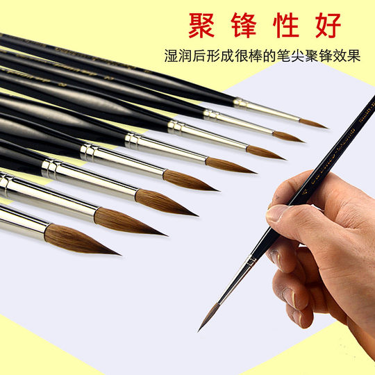 DaVinci – pinceau aquarelle v35, rangée de pinceaux à pigments solides