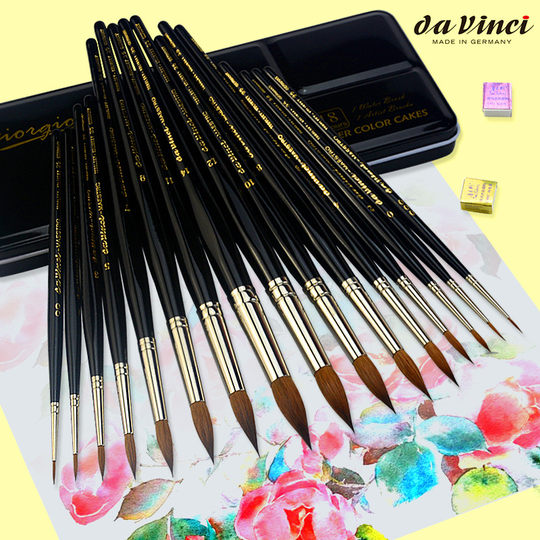 DaVinci – pinceau aquarelle v35, rangée de pinceaux à pigments solides