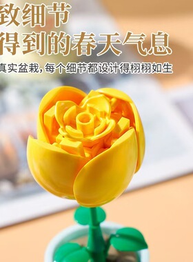 积木花朵盆栽儿童DIY益智玩具幼儿园生日礼物永生花植物拼装盆栽