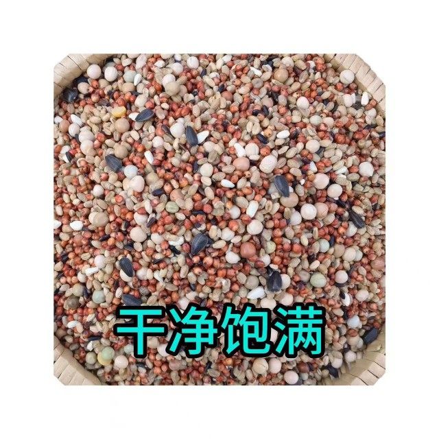 ອາຫານກາງແກທີ່ບໍ່ມີສາລີ 10 ປອນສຳລັບນົກກາງແກແຂ່ງ ແລະອາຫານກາງແກ