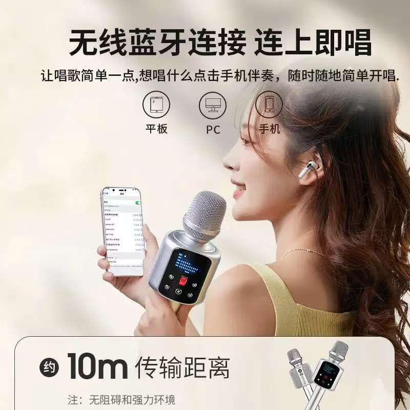 权盟 R2炫声麦话筒音响一体机内置声卡无线蓝牙k歌录歌直播神器