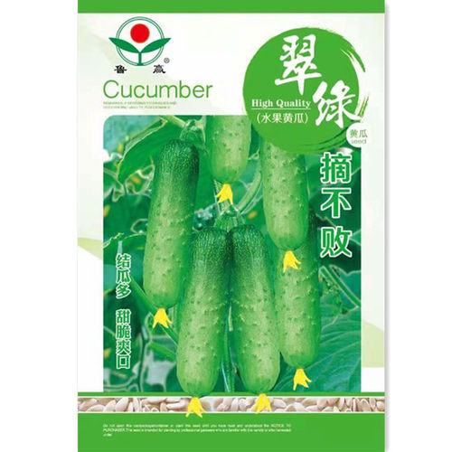 满地爬水果黄瓜种籽 绿芯黄瓜种子孑苗 旱黄瓜阳台四季蔬菜种子苗 - 图1