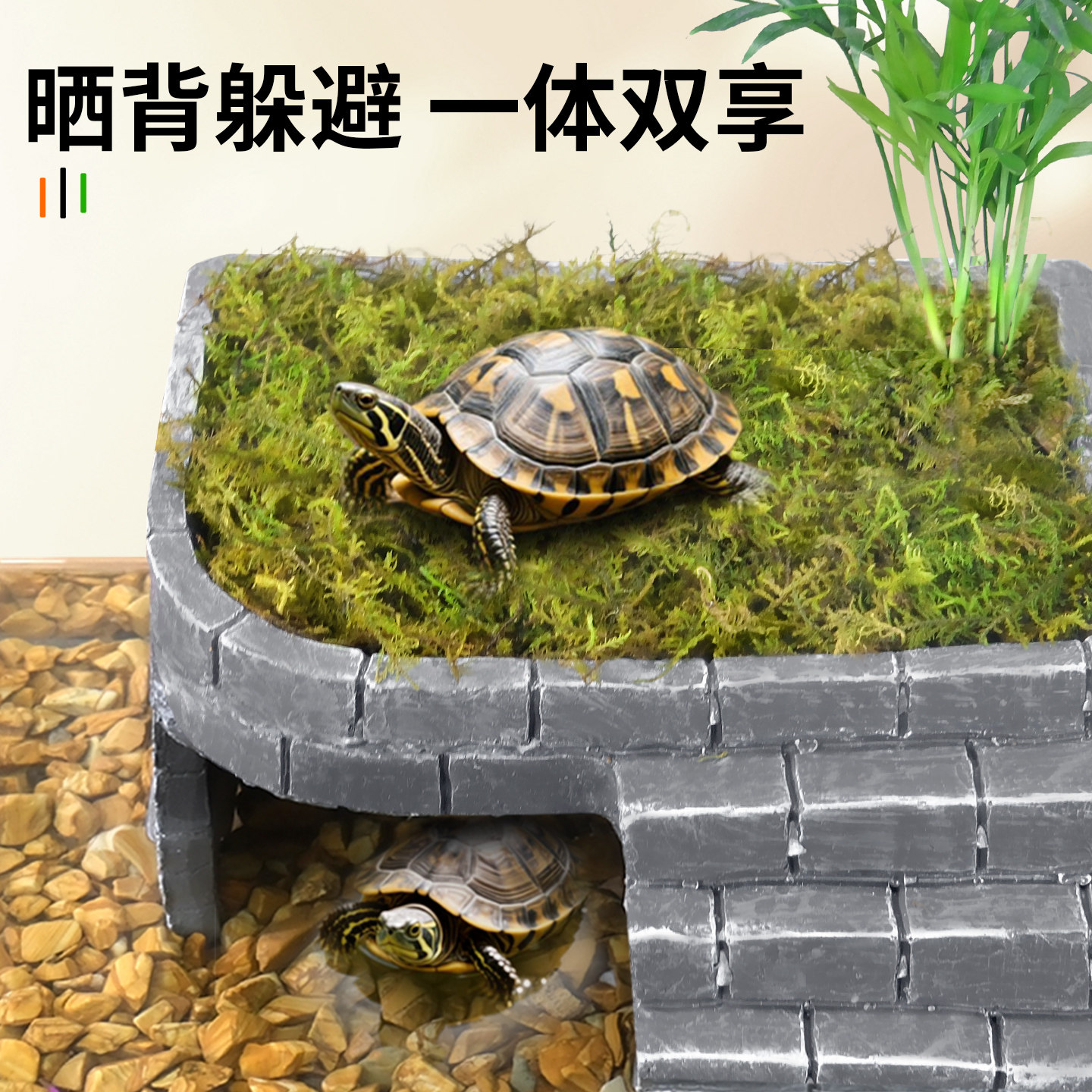 乌龟缸晒台爬台黄缘造景爬梯石头躲避屋洞穴巴西龟爬坡休息晒背台,淘宝优惠券,粉丝福利购,淘宝优惠卷