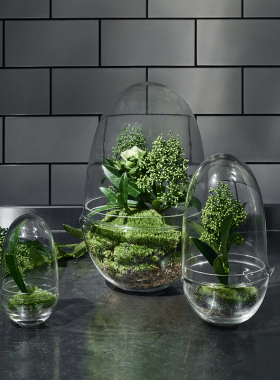 玻璃景观罩生态瓶摆件微景观