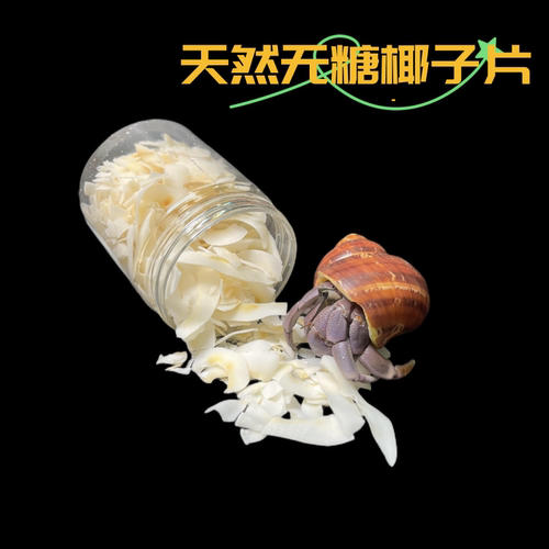 寄居蟹食物 天然无添加椰片 蜕皮补钙南极麟虾王水果蔬菜干玉米饼 - 图0