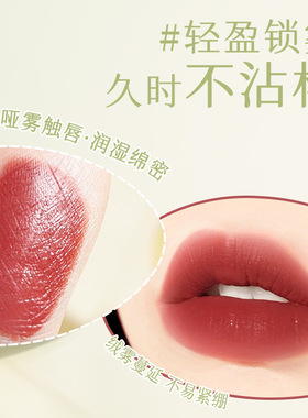 一妆一物不沾杯口红不沾口罩防水柔雾唇膏哑光口红不掉色跨境彩妆