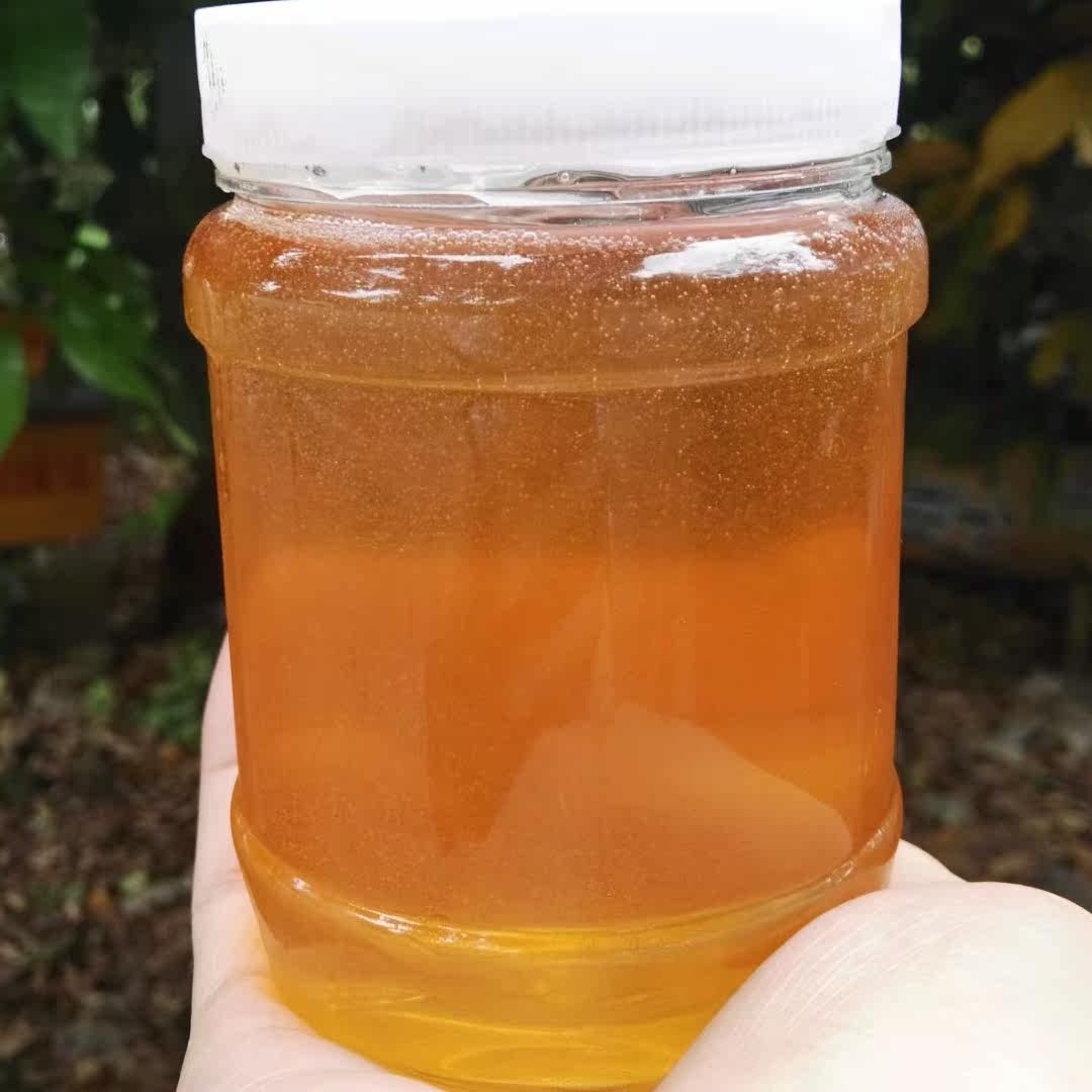 纯蜂蜜洋槐蜜四川乐山土特产食用农产品洋槐蜜瓶装500克