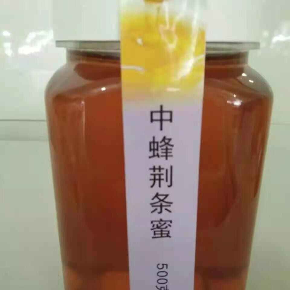 纯蜂蜜荆条蜜四川乐山土特产食用农产品荆条蜜瓶装500克