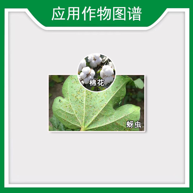 顺毅必喜35%吡虫啉悬浮剂100克棉花蚜虫月季家用农药杀虫剂 - 图2