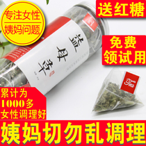 (70 30 package optional) clapping two hair three motherwort tea 18 wild new goods motherwort Chinese herbal medicine less late